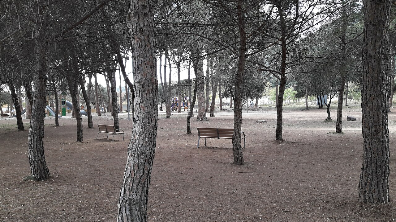 els Pinetons