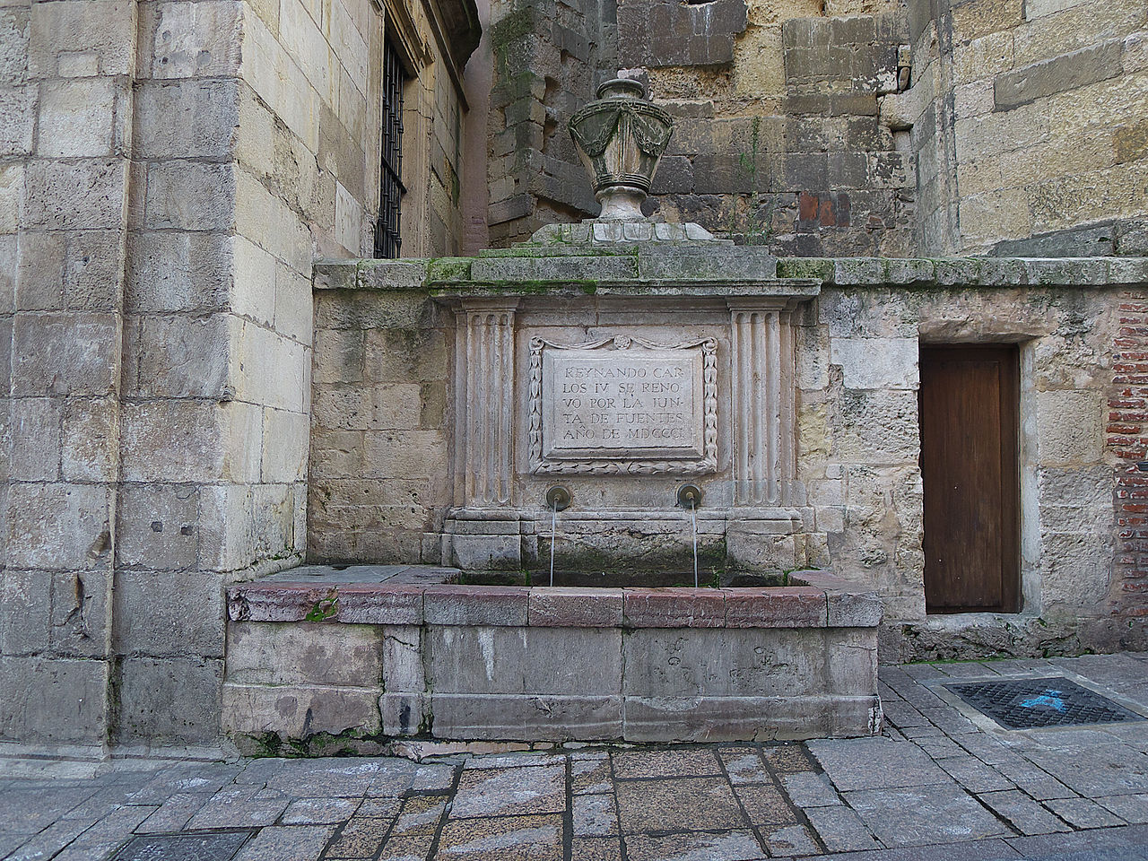 Fuente de San Martín