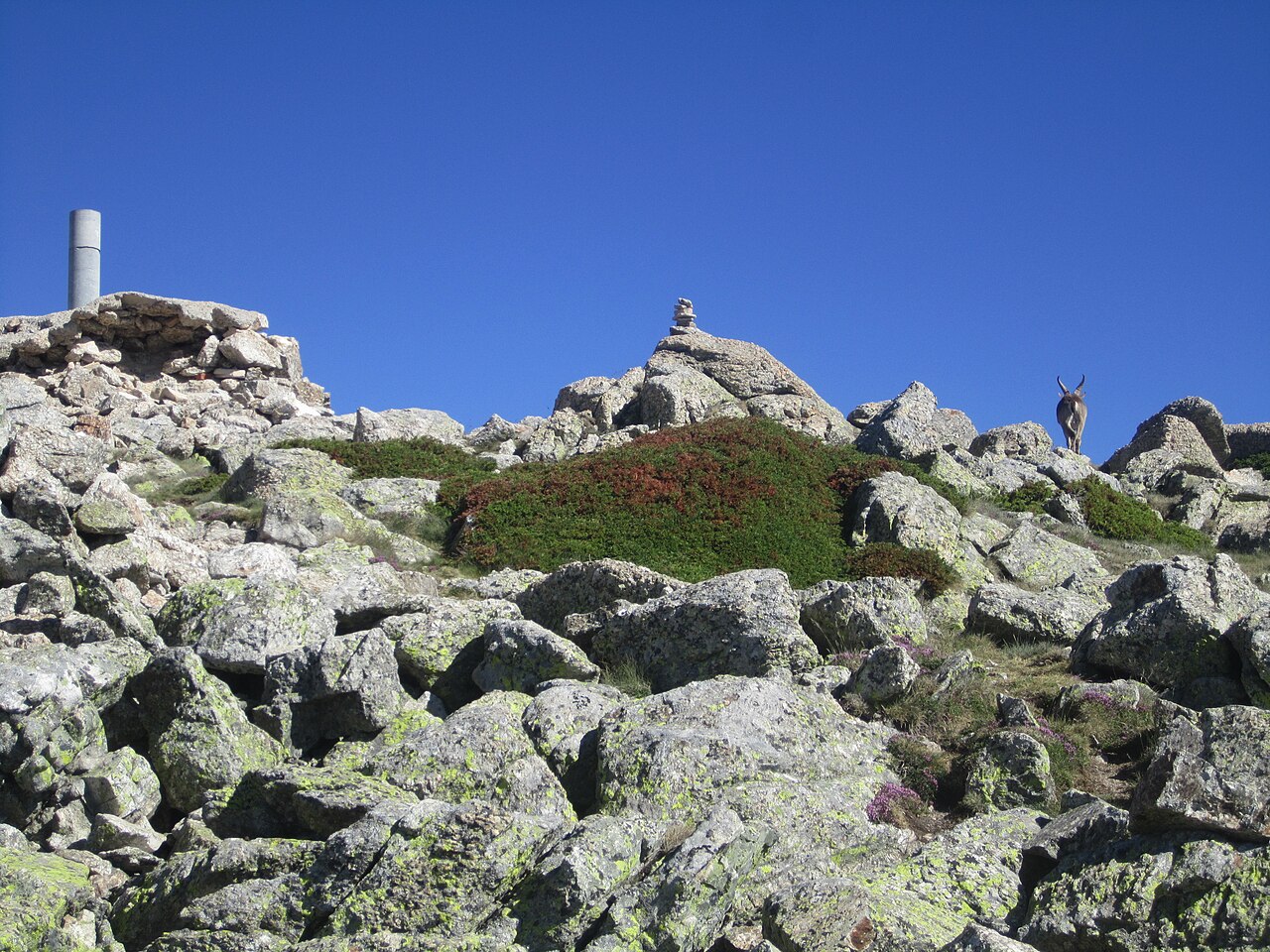 Hierro