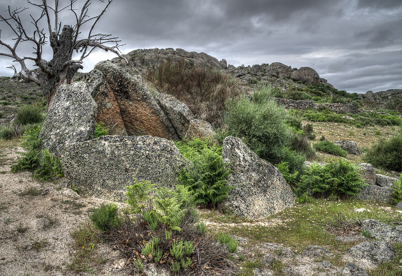 Dolmen Data I