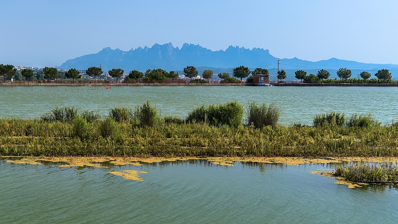 Parque de la Aguja