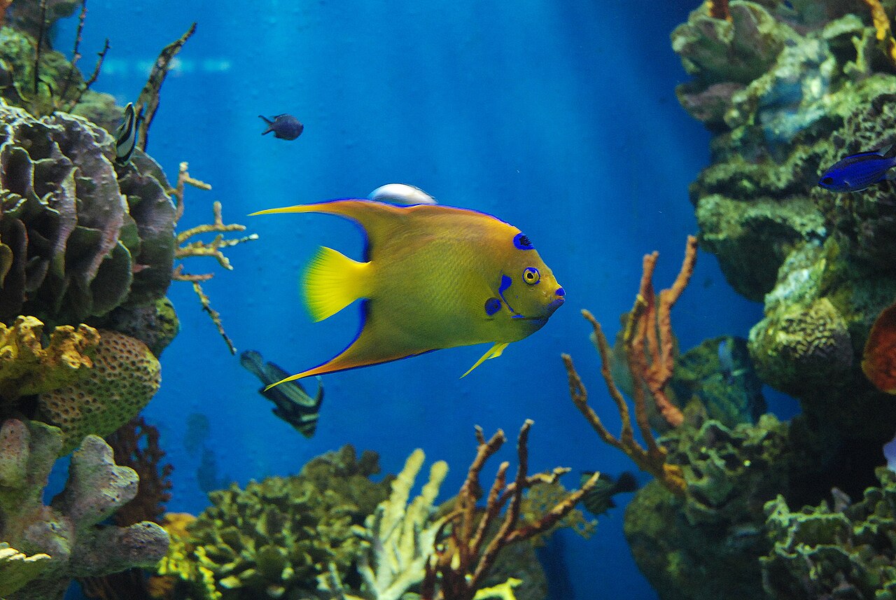 Aquarium de Barcelona