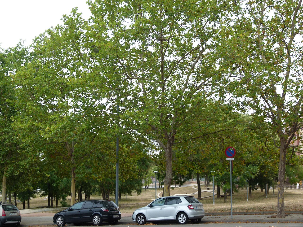 jardins de Dolors Monserdà