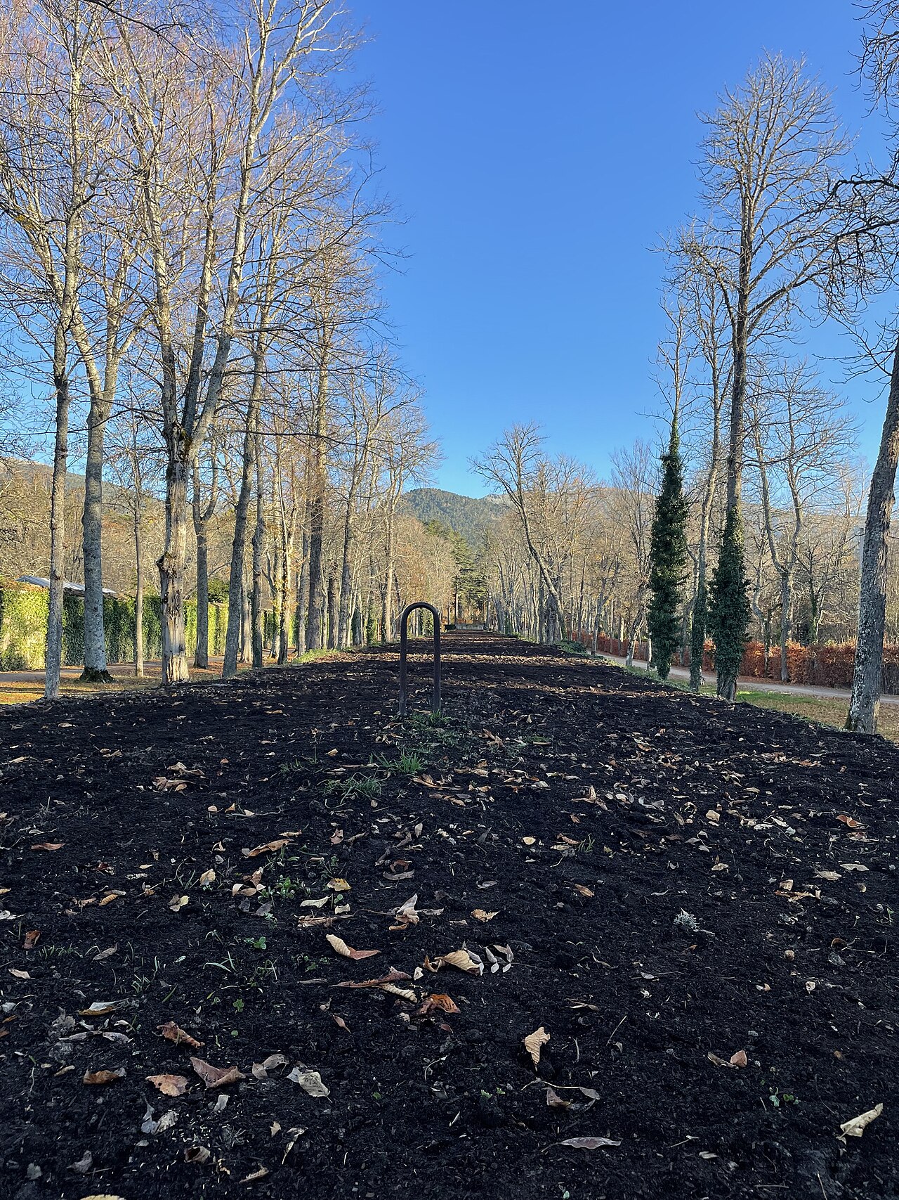 Juego del Mallo (La Granja)