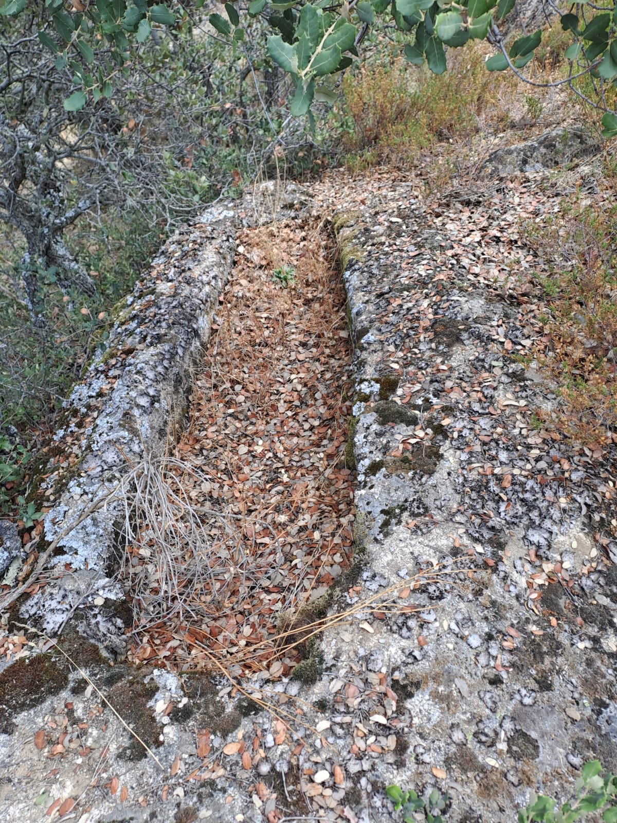 Necrópolis de San Simones, Sanchicorto