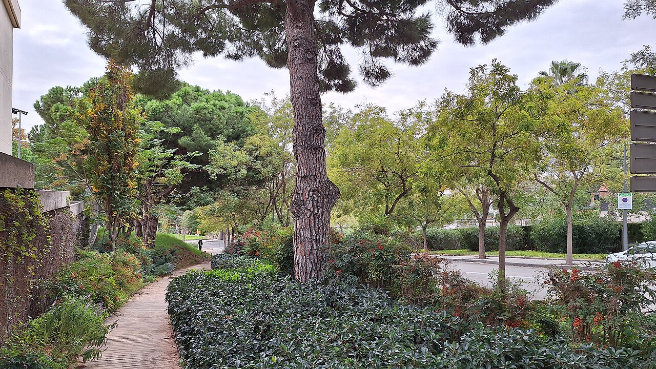 Jardins del Gran Capità