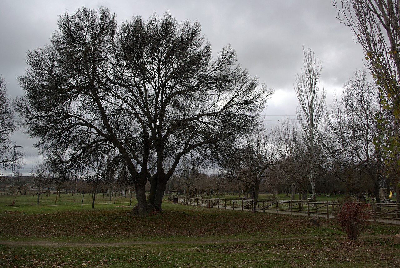Parque El Soto, Ávila