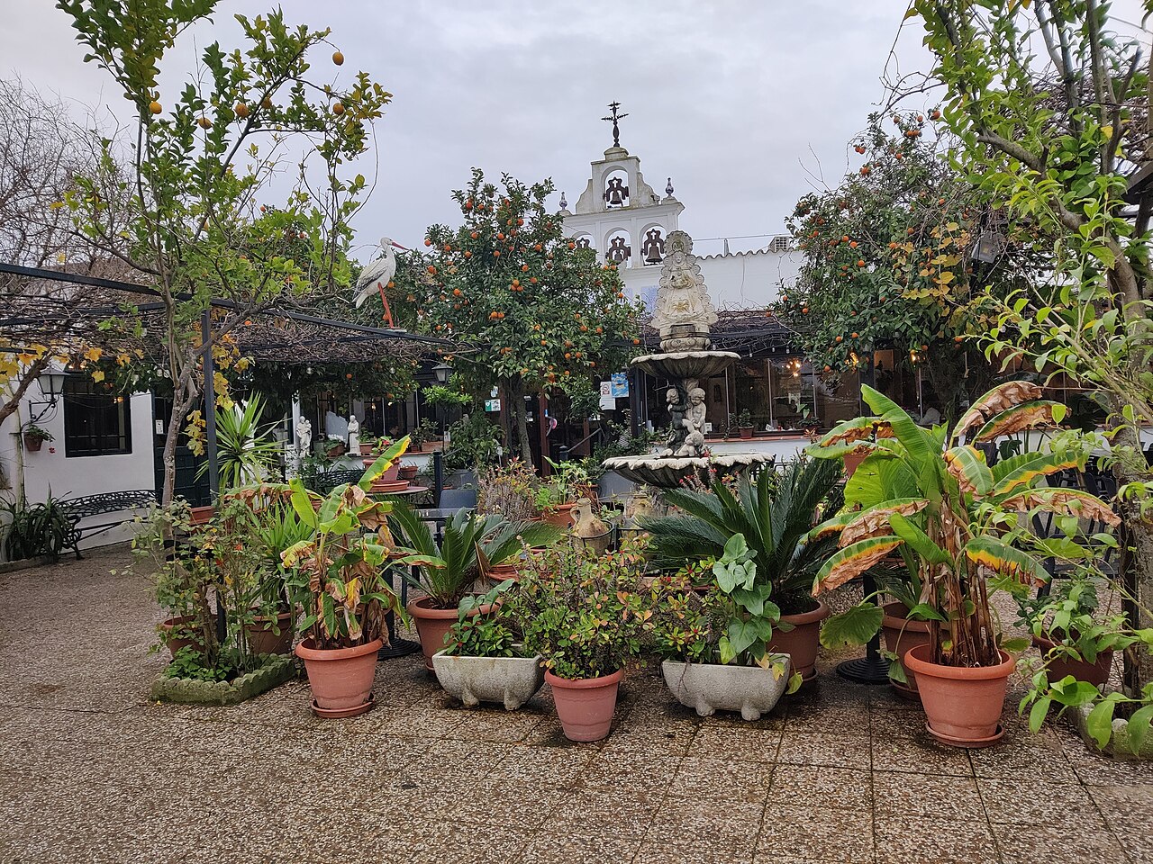 Bodegón Rociero la Blanca Paloma