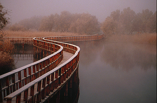 Parque nacional de las Tablas de Daimiel