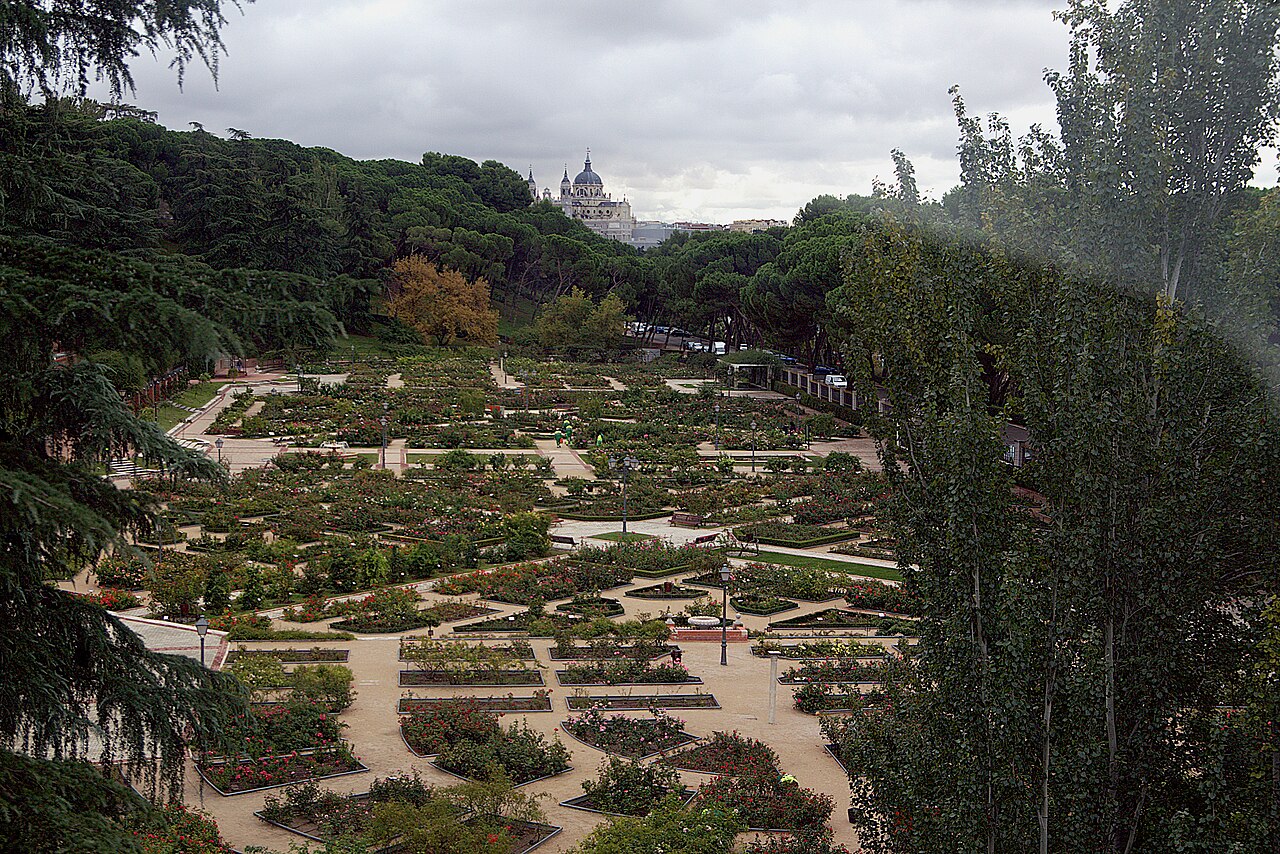 Rosaleda del parque del Oeste