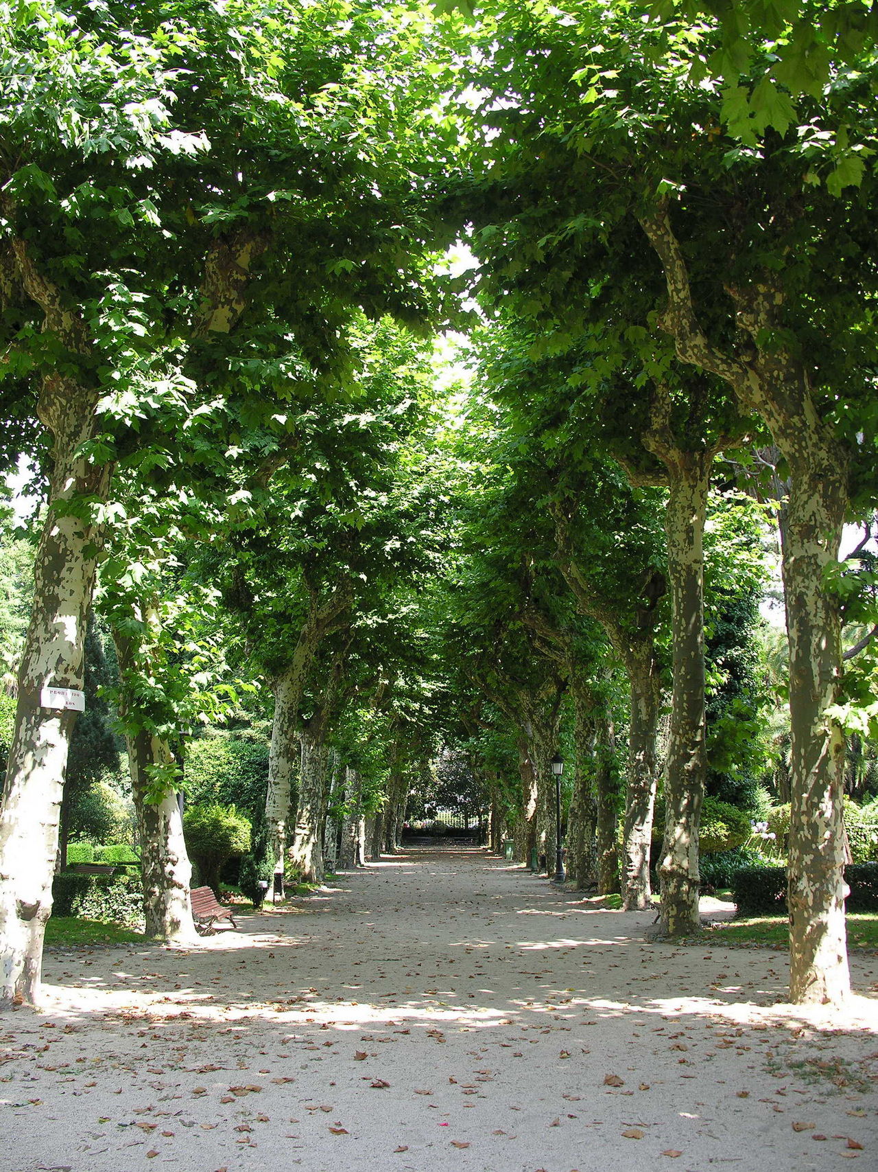 Jardín botánico de Padrón