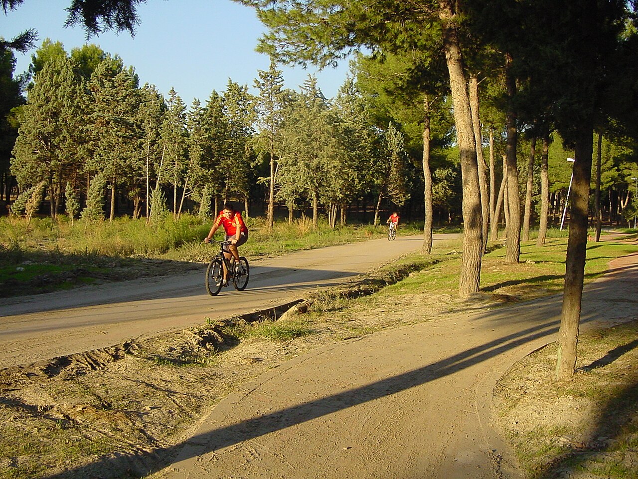 Parque Forestal de Entrevías