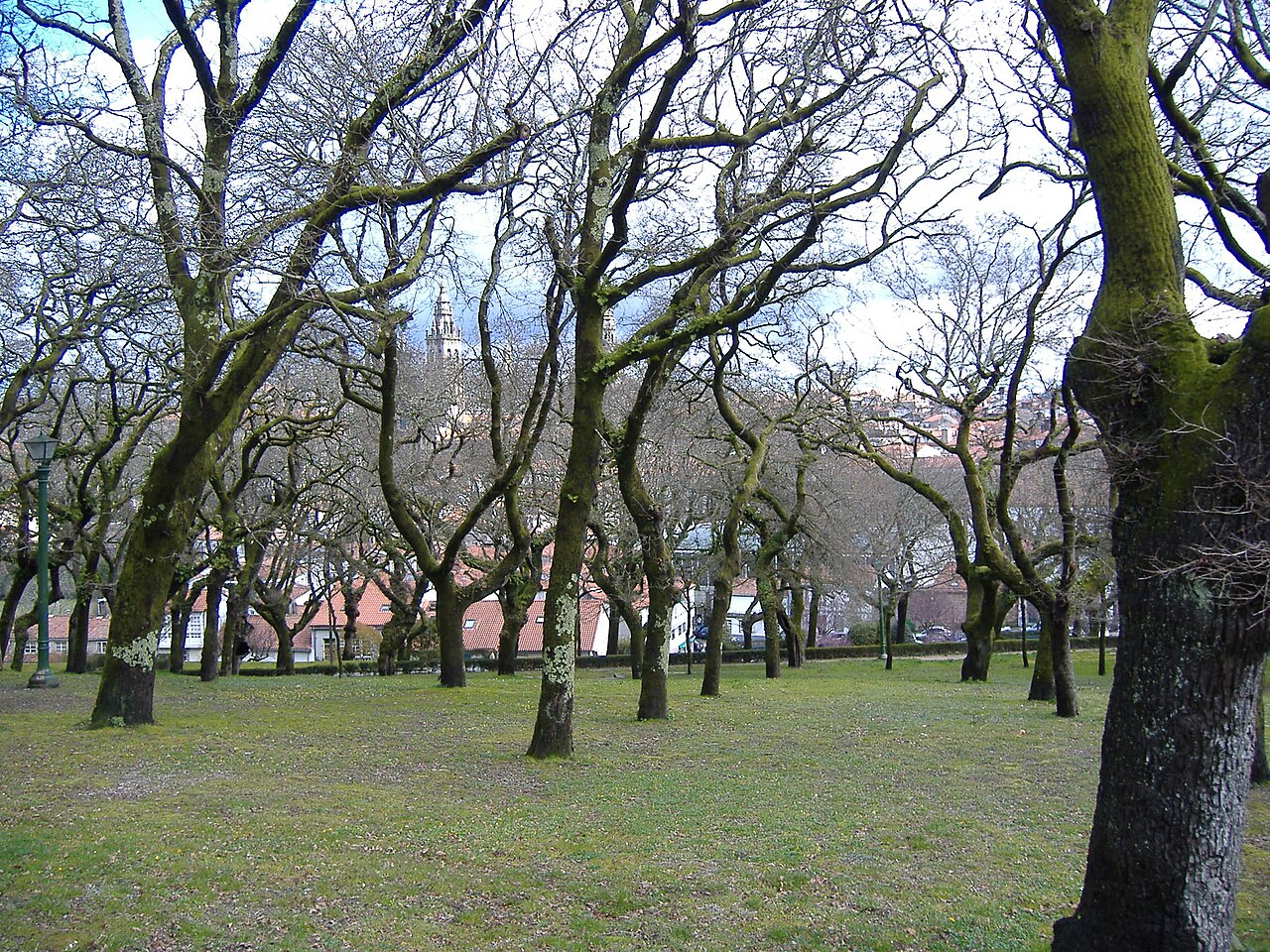 Robledo de Santa Susana