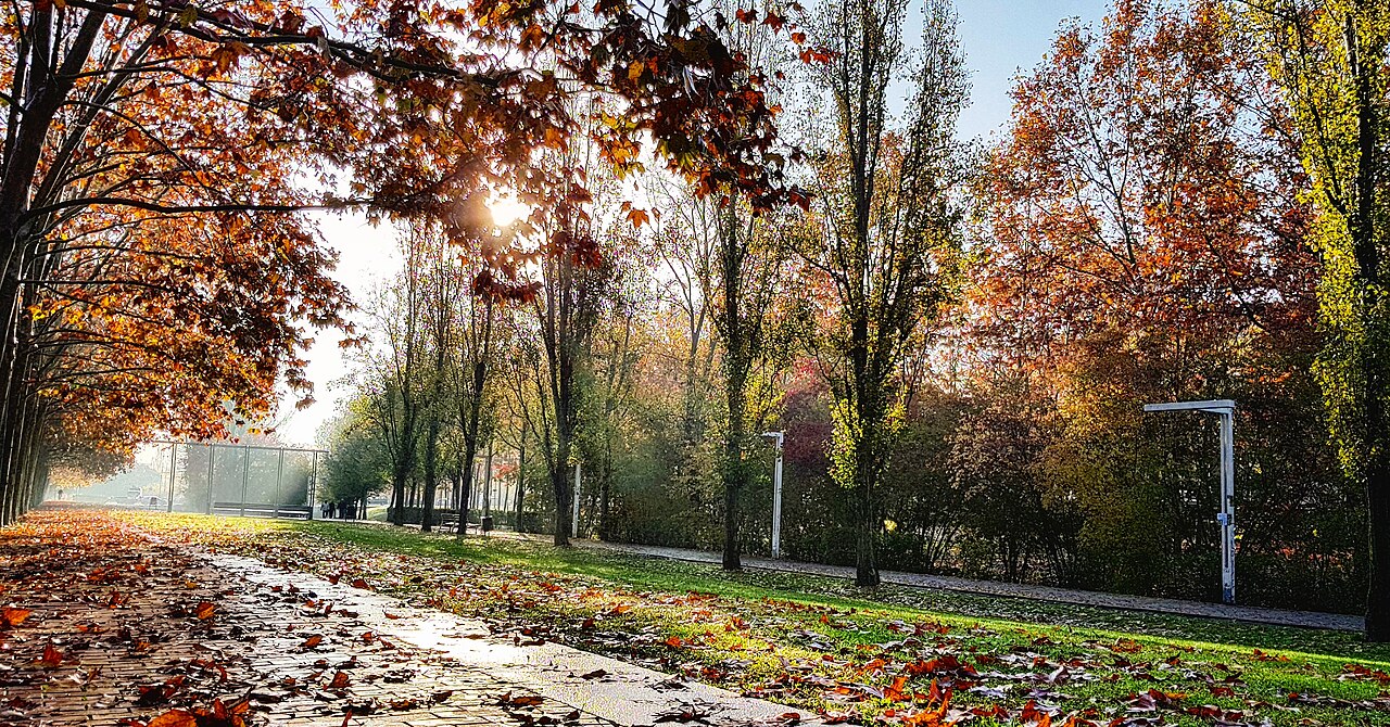 Parc Central de Sant Cugat