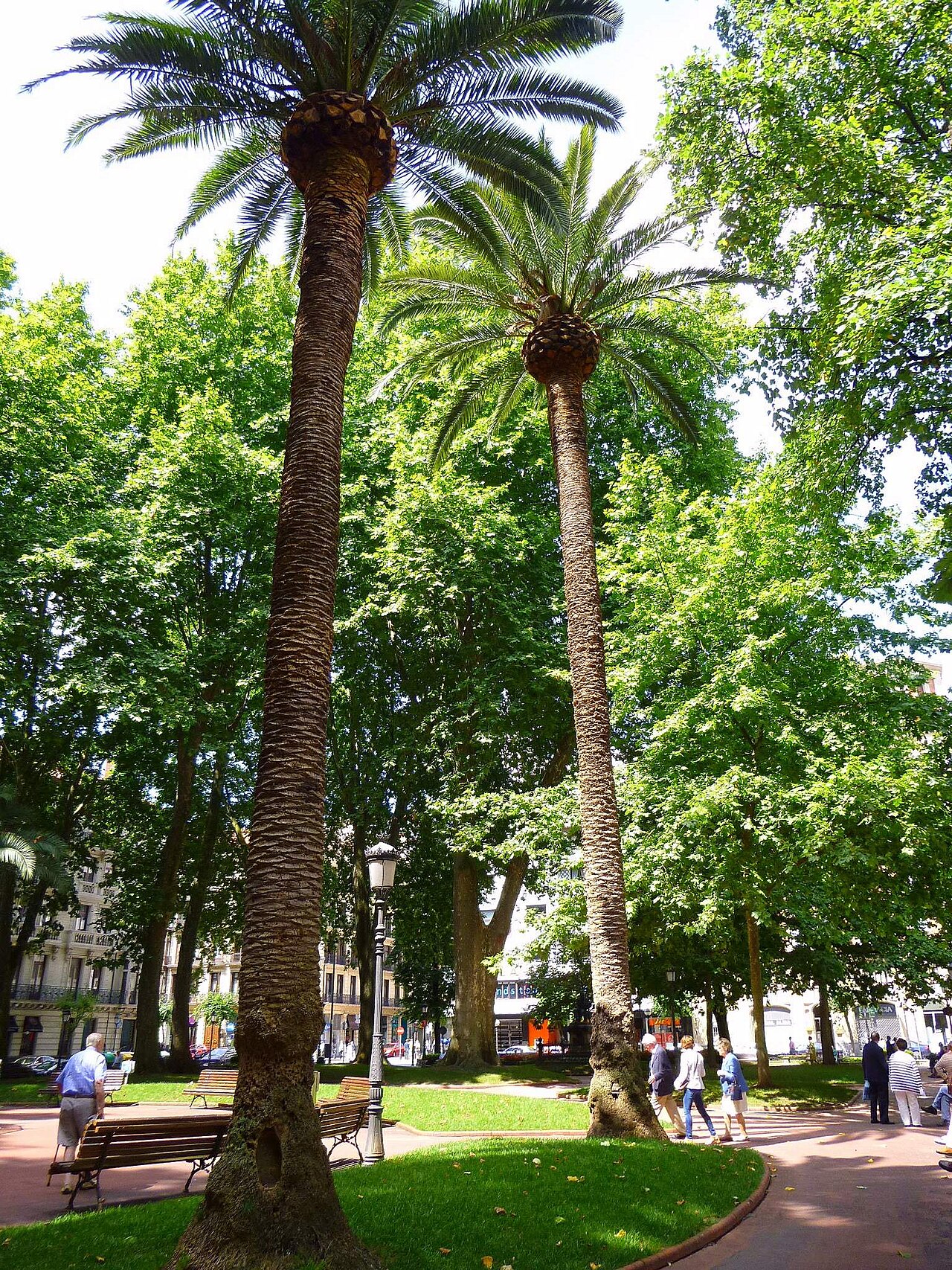 Jardines de Albia