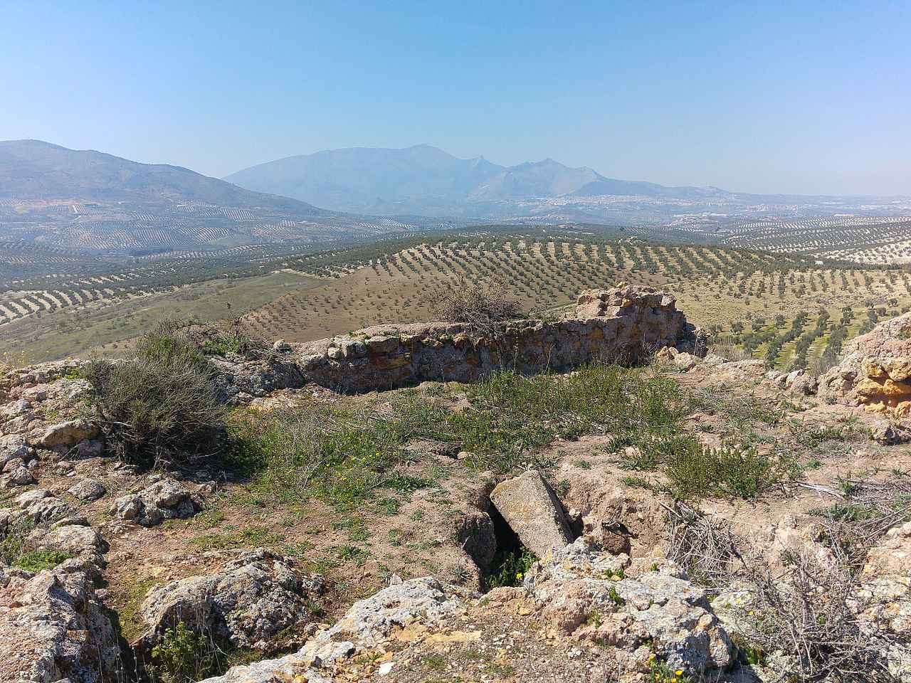 Torre Bermeja