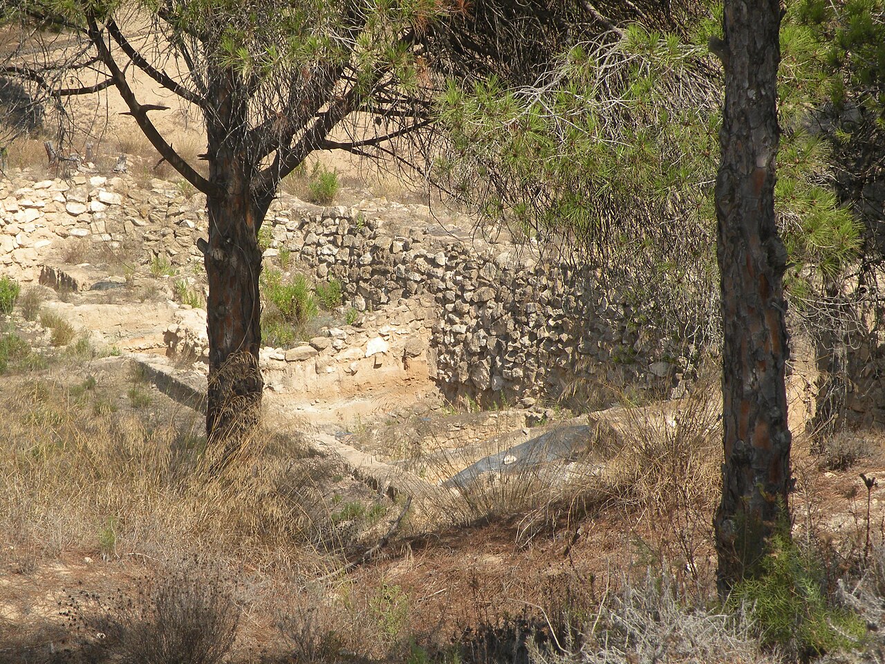 Ciudad portuaria fenicia La Fonteta