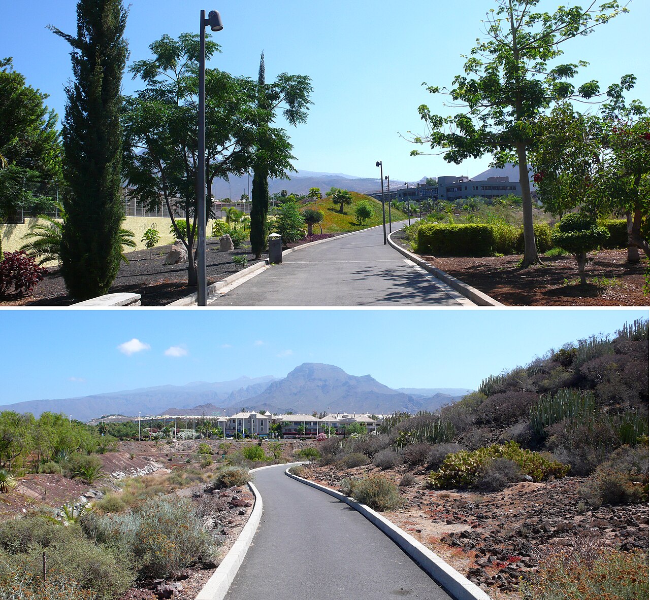 Parque Central de Arona