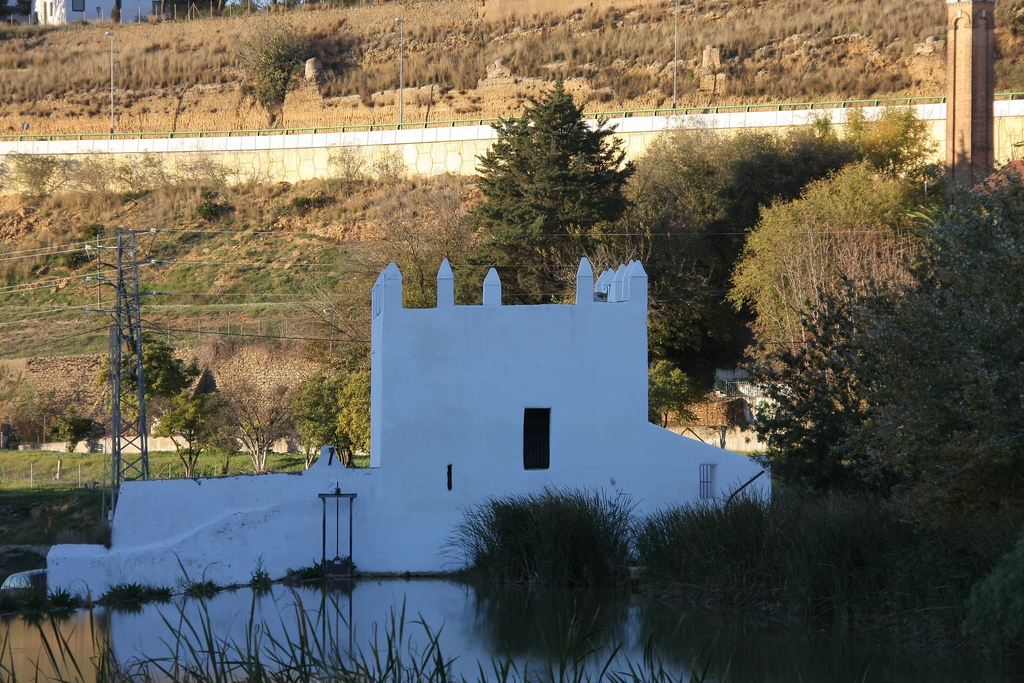 Molino de Realaje