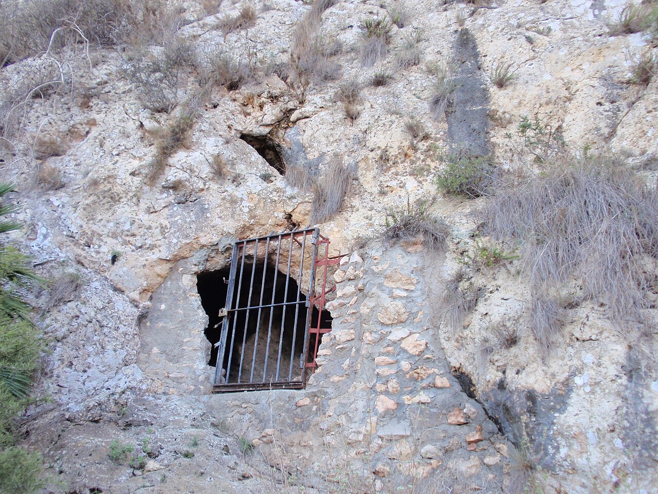 Cueva de las Arañas del Carabassí