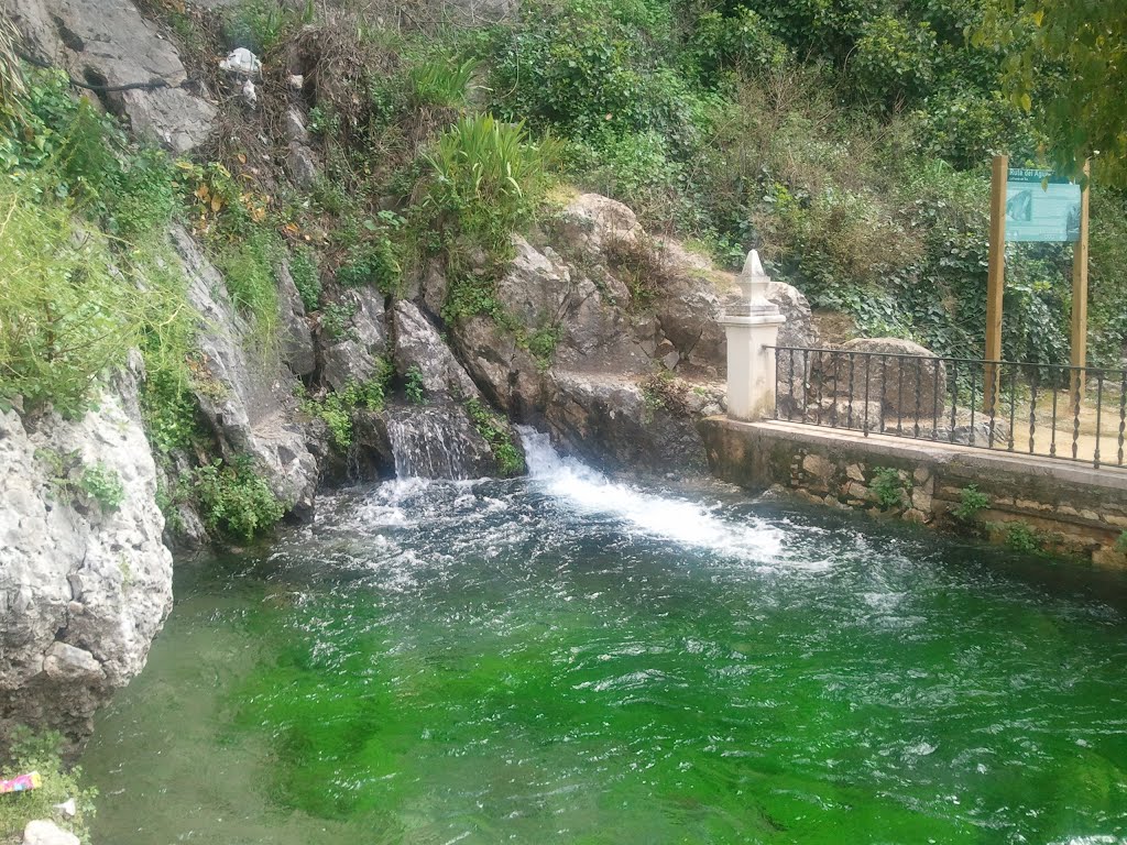 parque municipal de la Fuente del Río