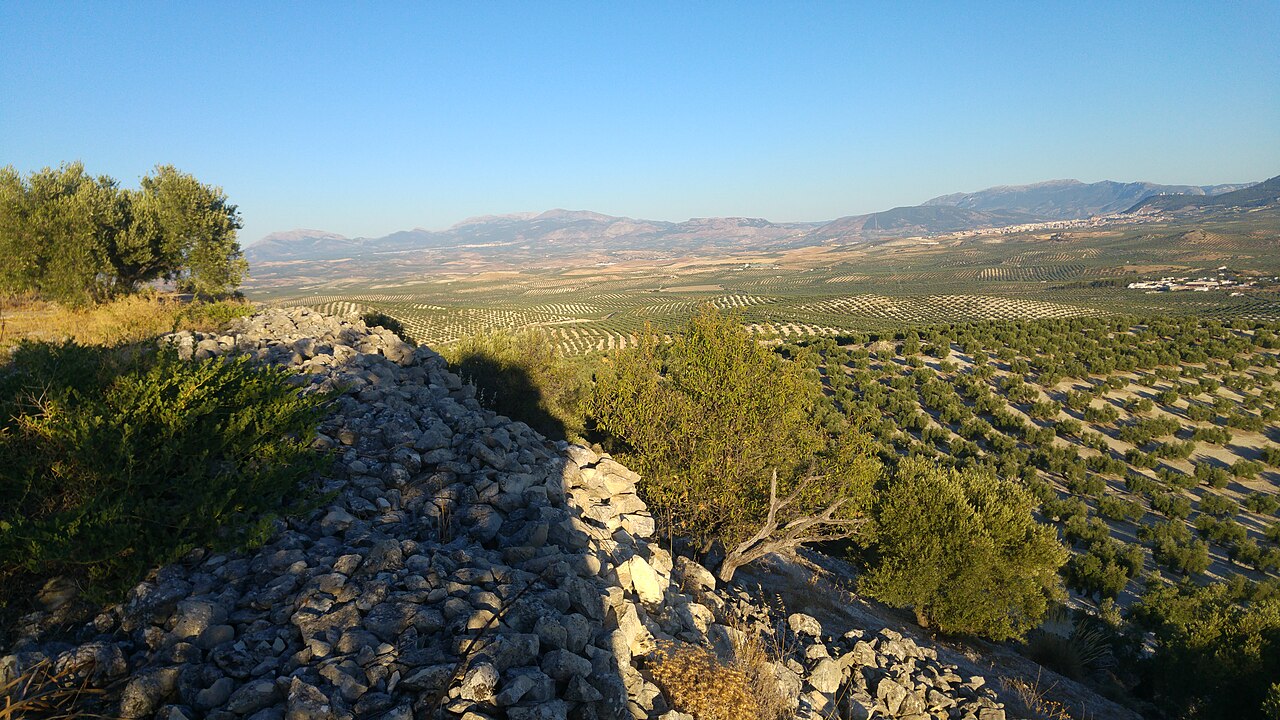 Yacimiento de Las Atalayuelas