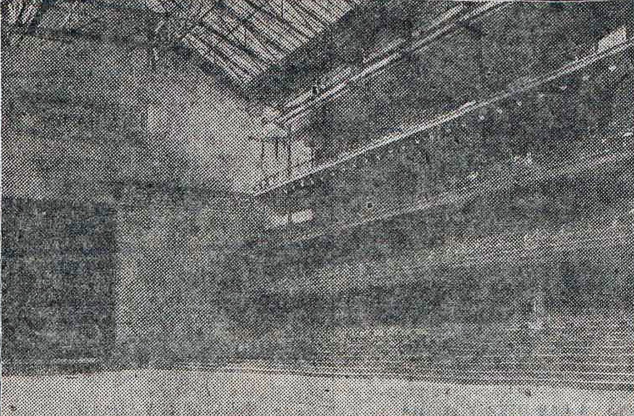 Nuevo Jai Alai
