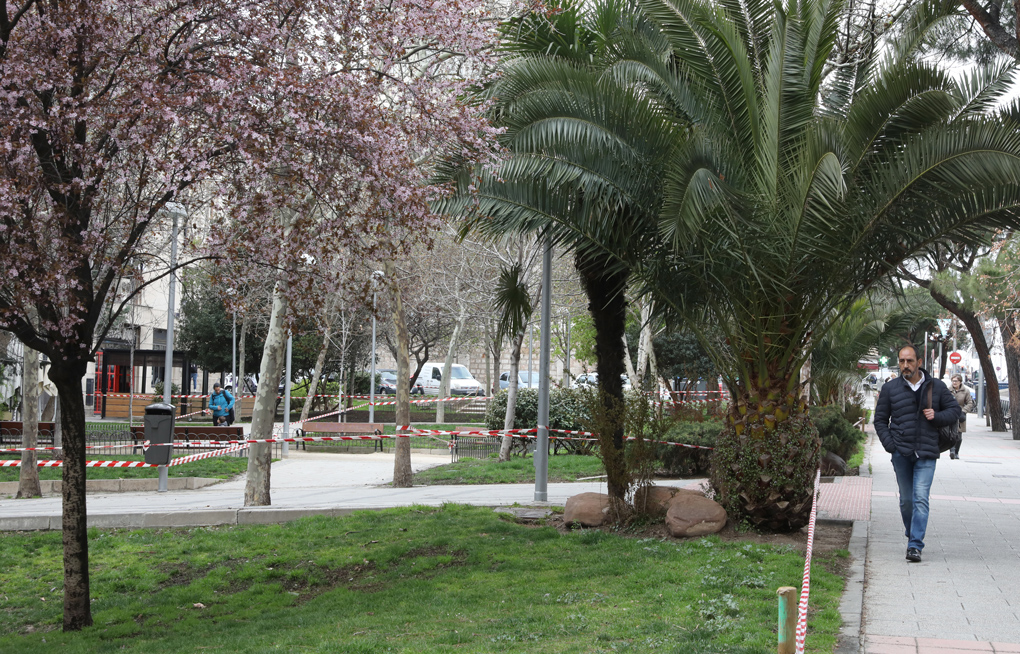 Jardines de Andrés Saborit