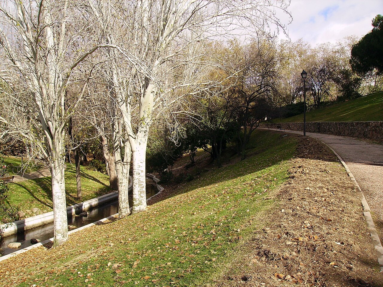 parque de Francos Rodríguez