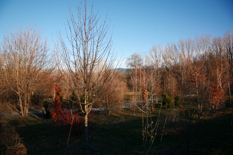 Arboreto Giner de los Ríos