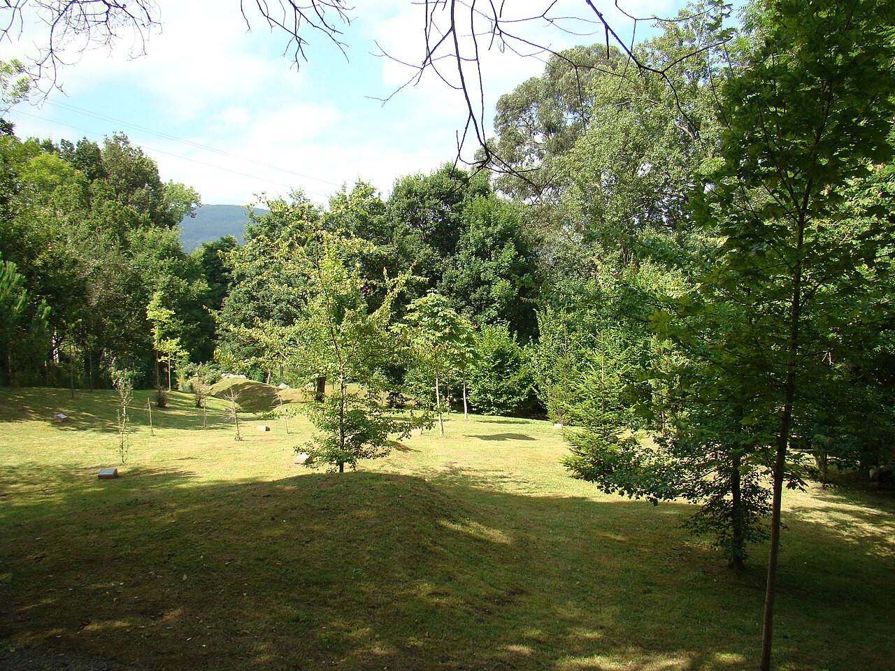 Arboreto de Liendo