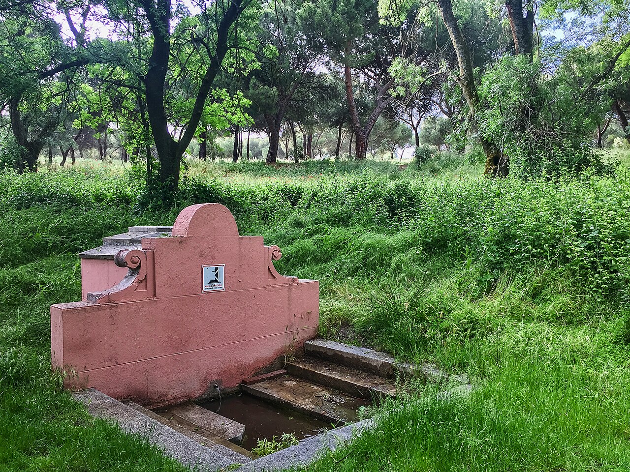 Fuente del Zarzón