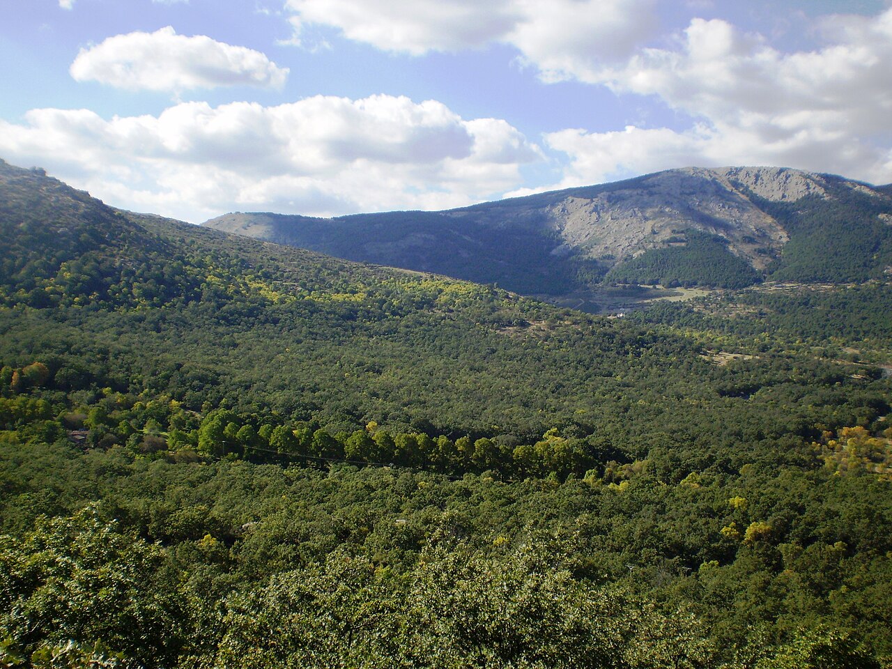 Paraje pintoresco del Pinar de Abantos y Zona de La Herrería