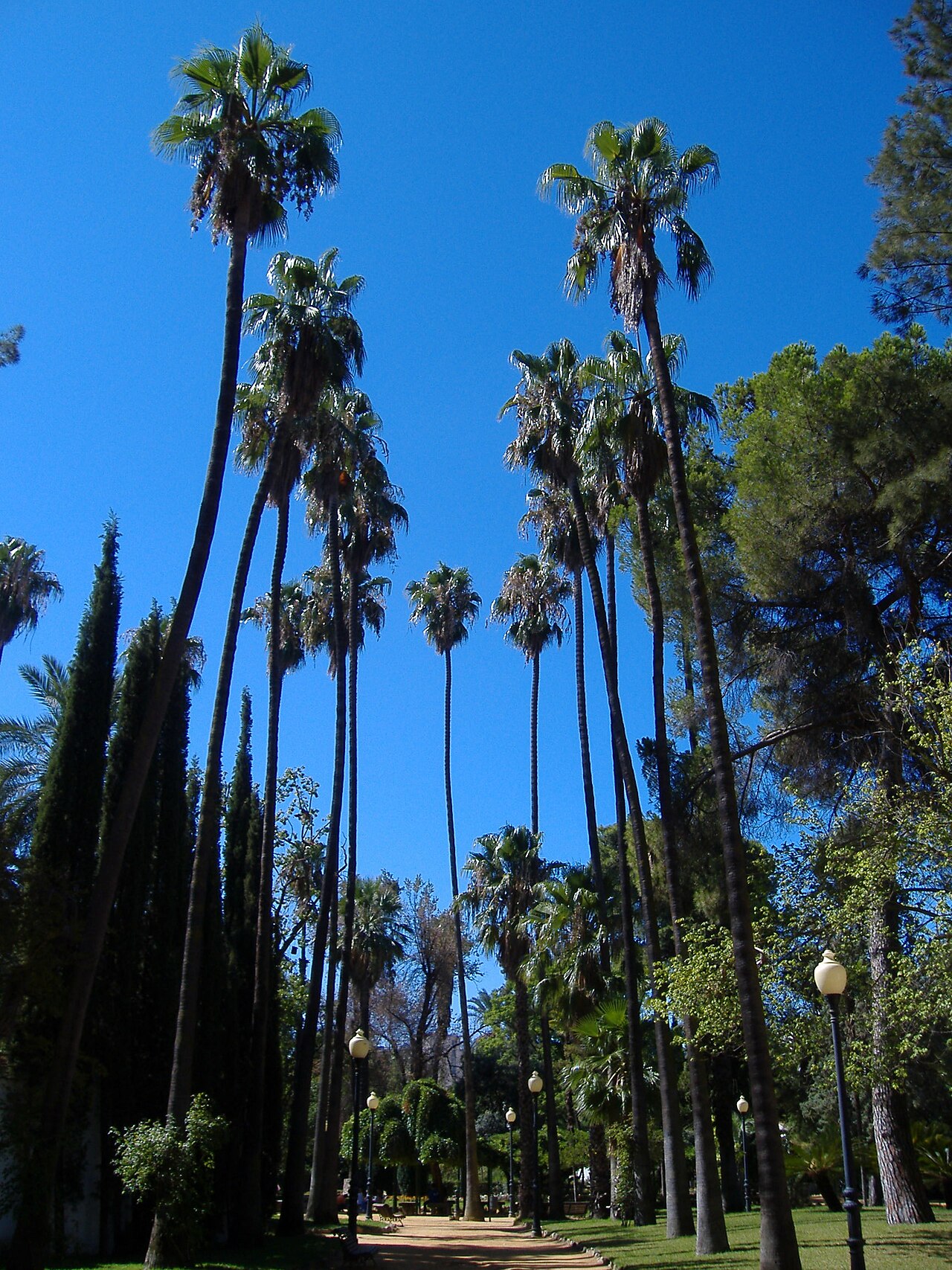 Parque de Castelar