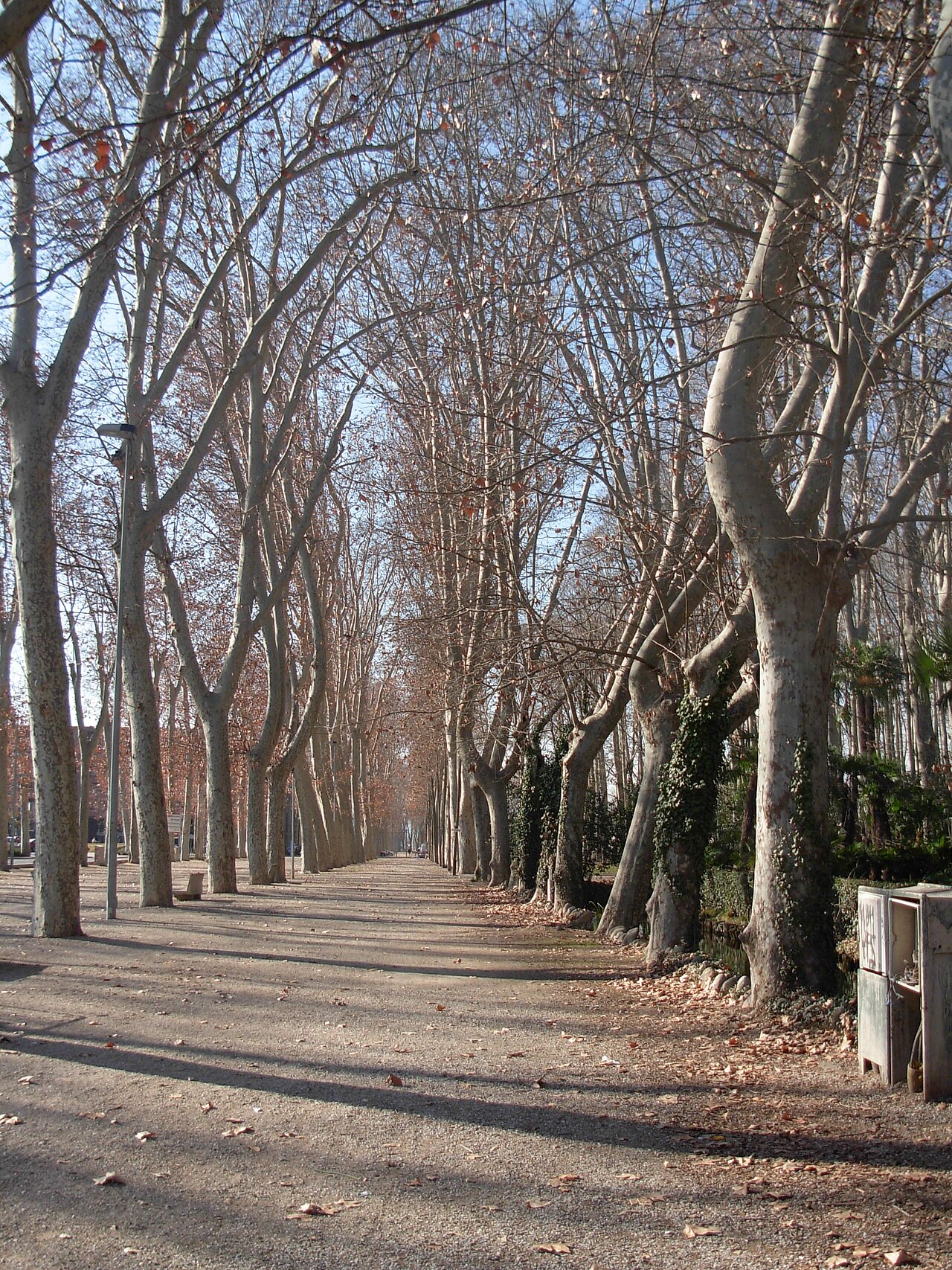Parque de la Dehesa
