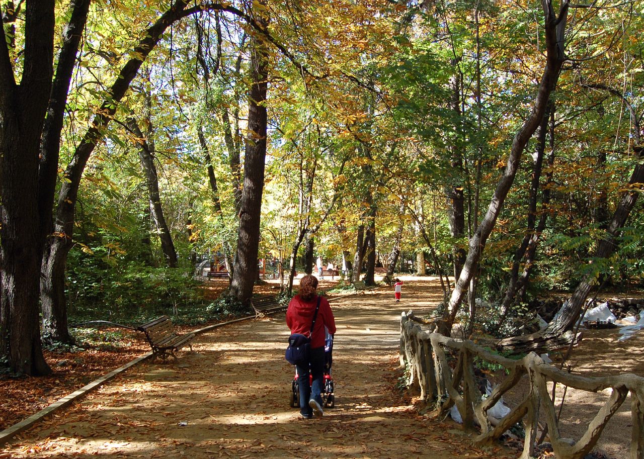 Parque del Campo Grande