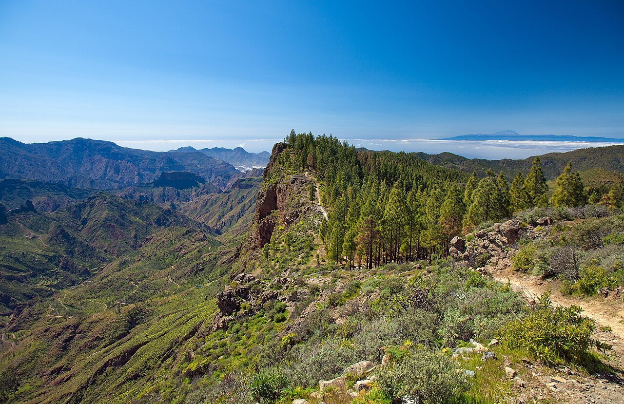 Parque rural del Nublo