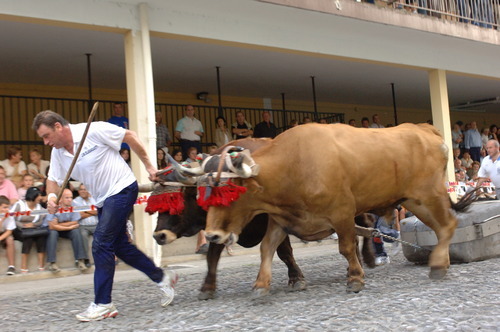 Probaleku De Urnieta