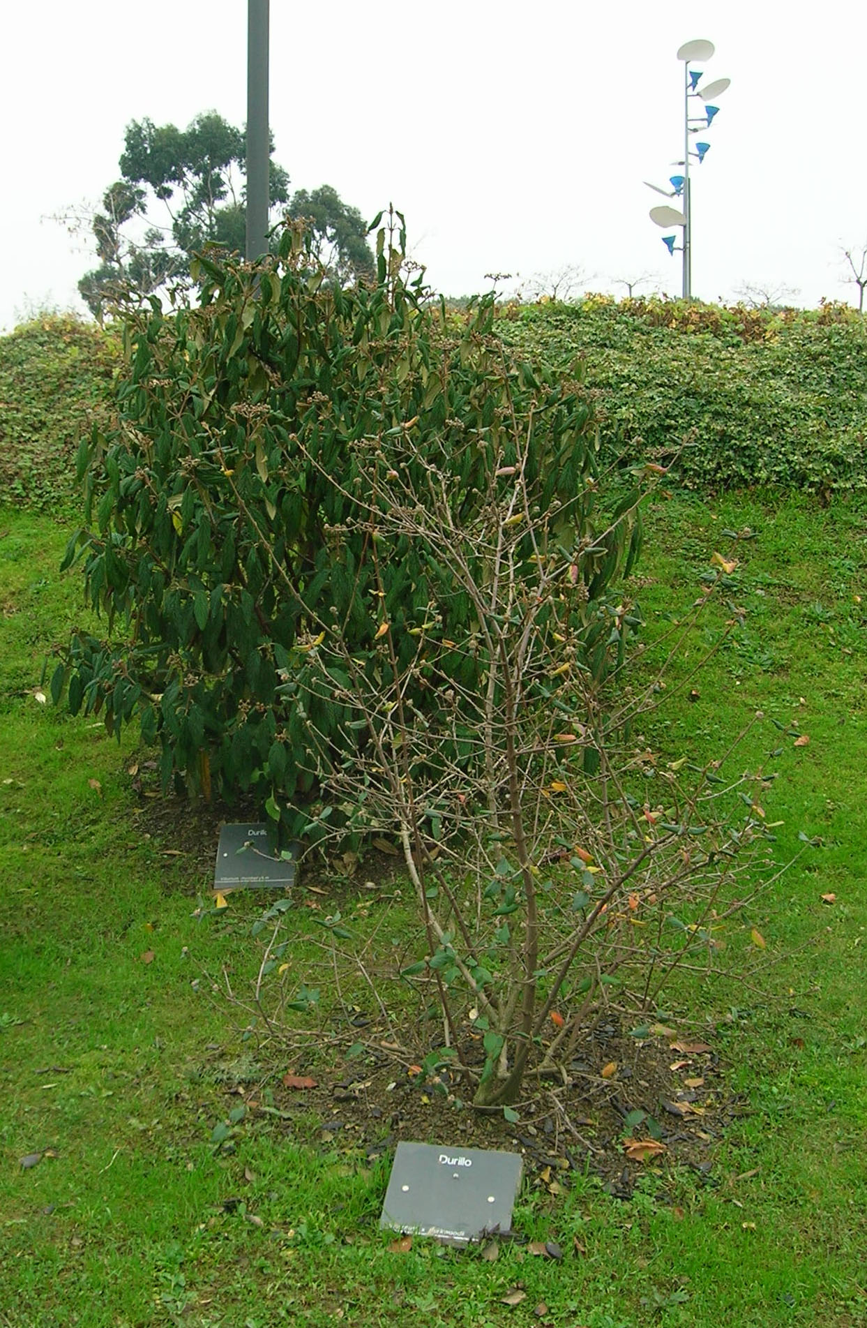 Jardín botánico de Baracaldo