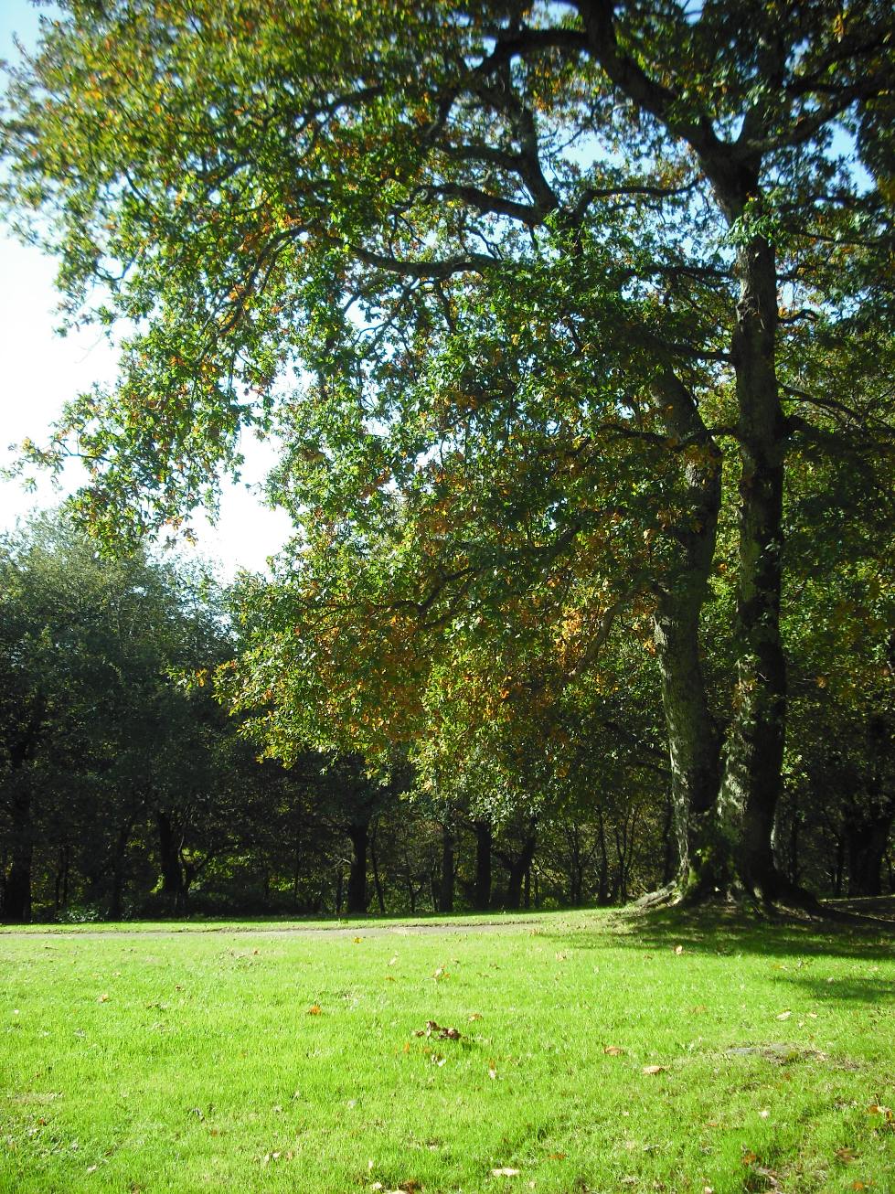 Parque de Santo Domingo de Bonaval