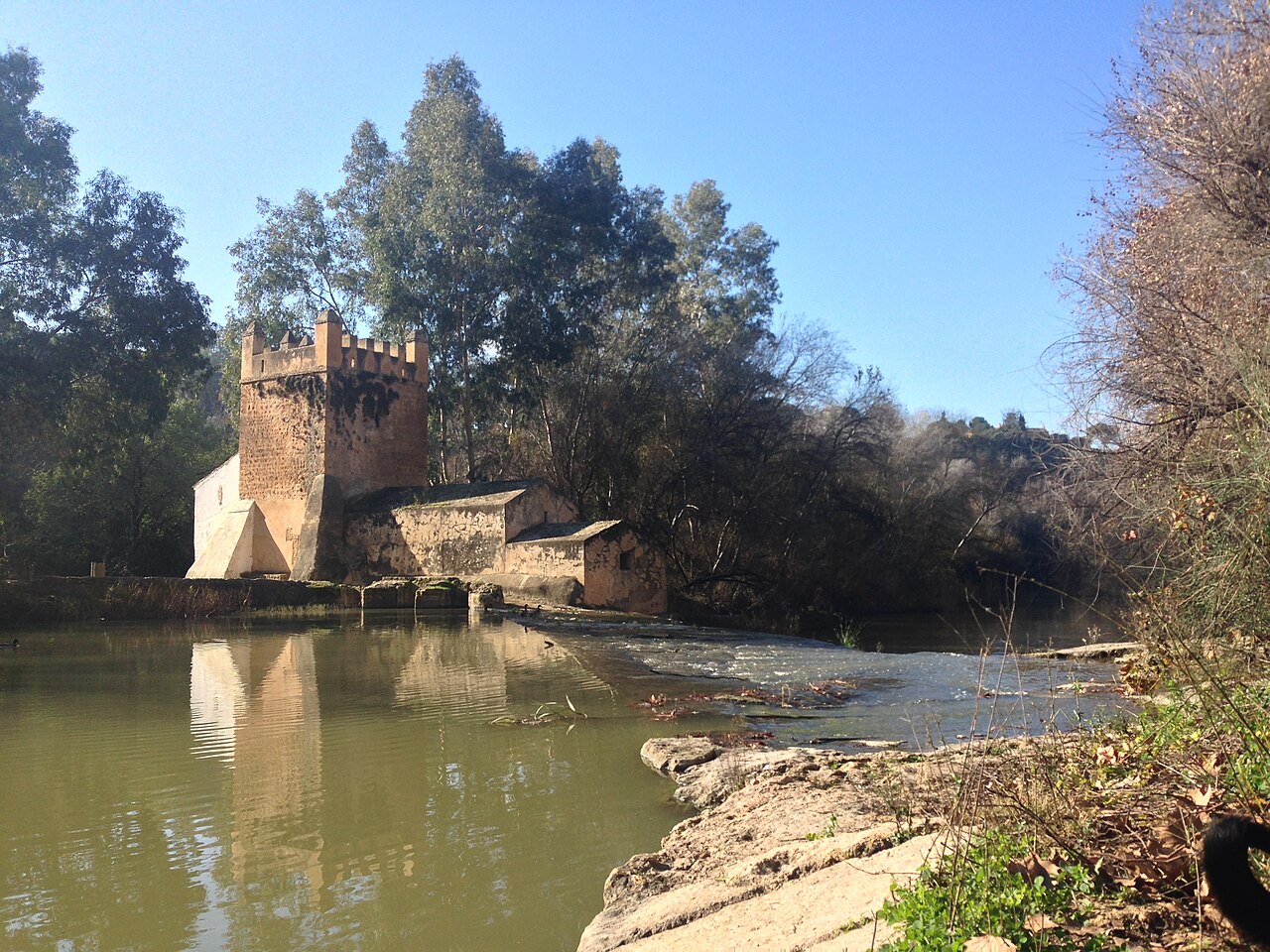 Molino del Algarrobo